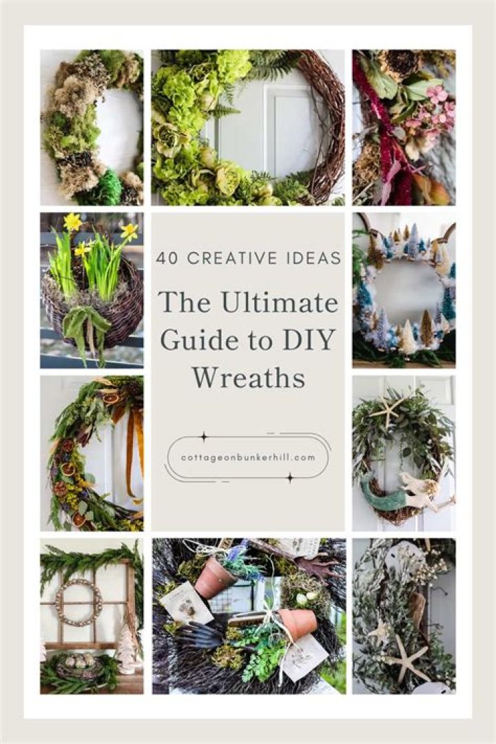 DownloadHub.diy: Your Ultimate Guide To Downloading DIY Projects