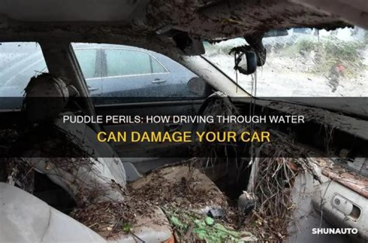 	Driving through puddles can kill your car	