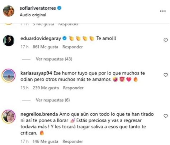 Eduardo Videgaray Wikipedia: caso, esposa, divorcia, biografía, hermano
