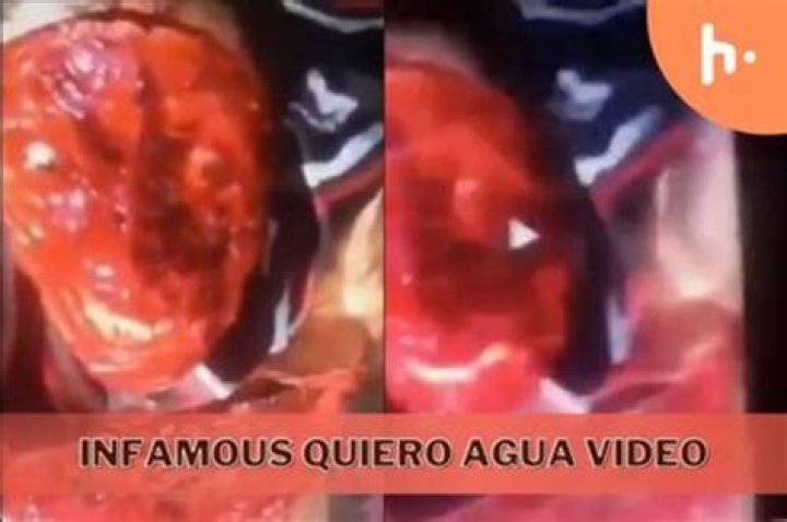 El Video Gore Quiero Agua: An In-Depth Analysis