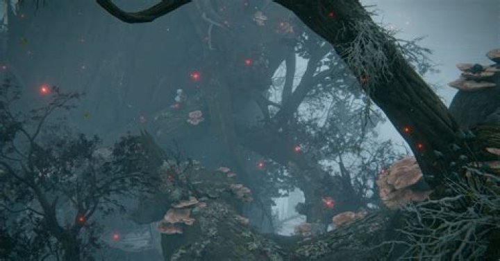 Elden Ring Miquella’s Haligtree walkthrough