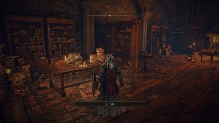 Elden Ring: Should You Give Seluvis’ Potion to Nepheli? Answered