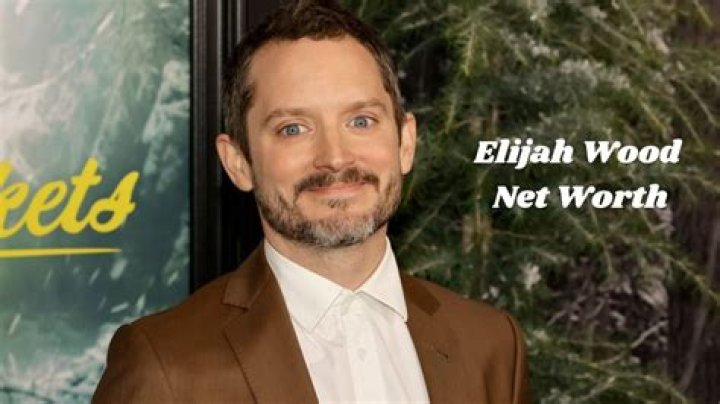 Elijah Wood Net Worth 2024