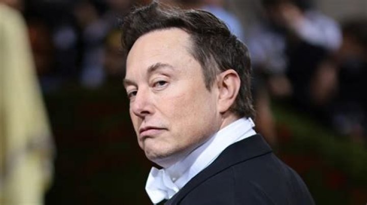 Elon Musk goes viral by explaining the science of memes