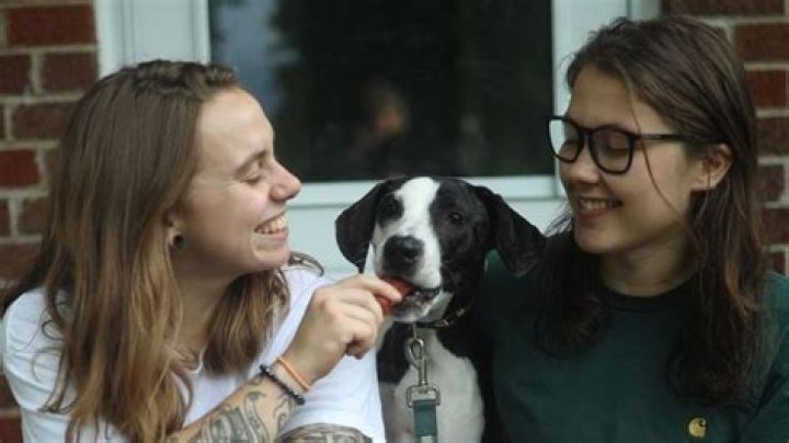 Exploring Julien Baker's Girlfriend: A Deep Dive Into Her Life And Relationships