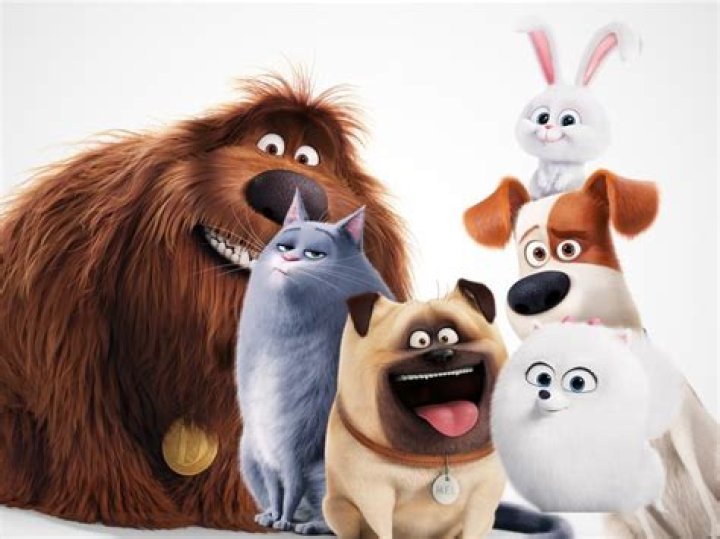 Exploring The Cast Of Pets Movies: A Comprehensive Guide