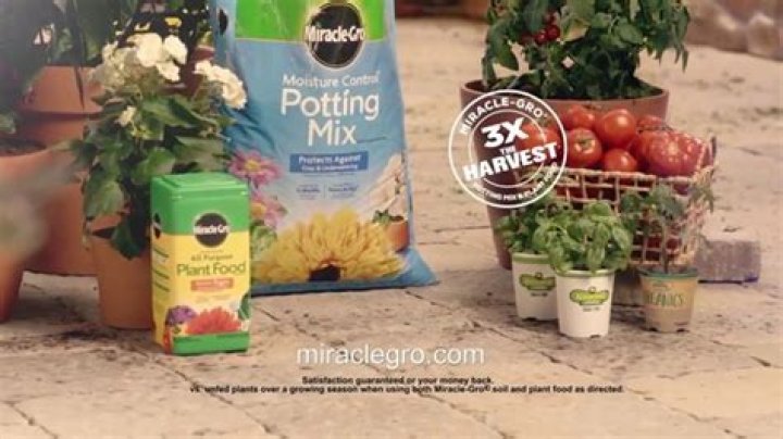 Exploring The Enchanting Voice Behind Miracle-Gro Commercials