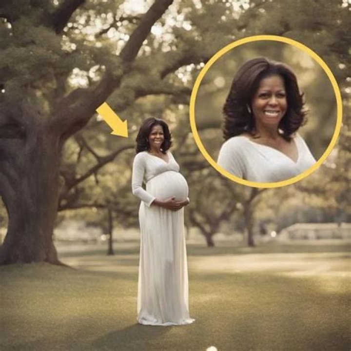 Exploring The Speculation: Michelle Obama Pregnant - A Deep Dive