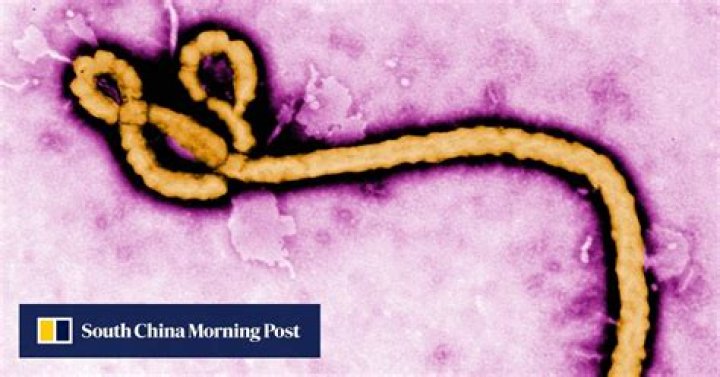 Explosion and fire at Soviet-era biological weapons facility holding smallpox and Ebola ‘no threat’, says Russia