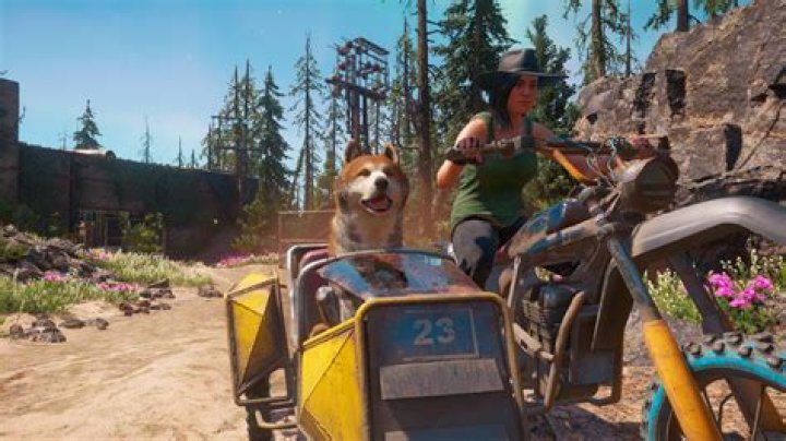 Far Cry New Dawn: How to Get the Dog (Timber)