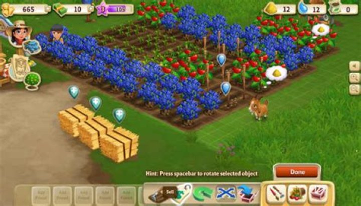 Farmville 2: How to Get More Water