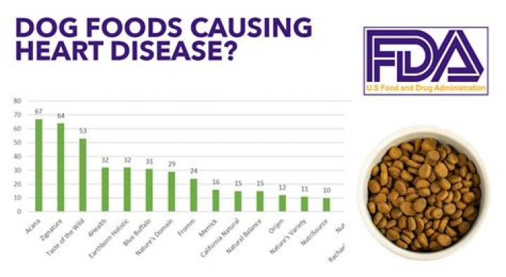 FDA lists dog food brands linked to heart disease