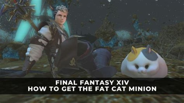 FFXIV: How to Get the Fat Cat Minion