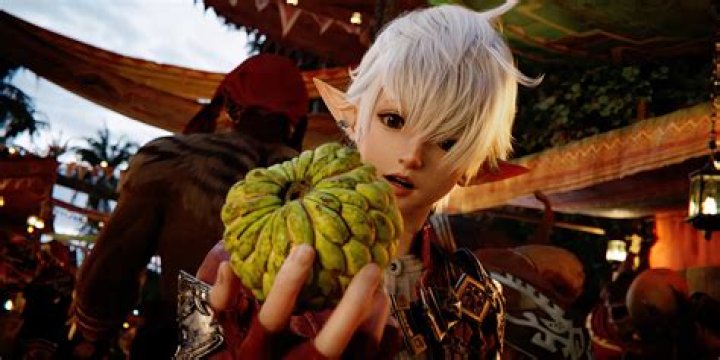 Final Fantasy 14’s broken housing lottery will get fixed soon