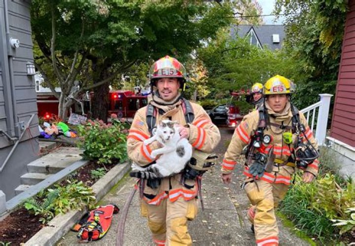 Firefighters Save Cat From Garage Fire In West Valley