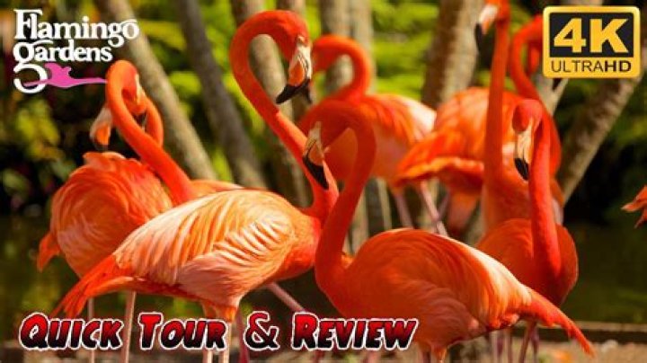 	Flamingo Gardens in Davie a hit with kids	