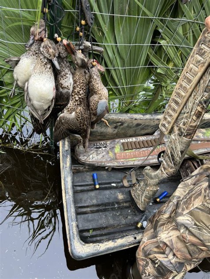 	Florida duck hunters anticipate memorable season	