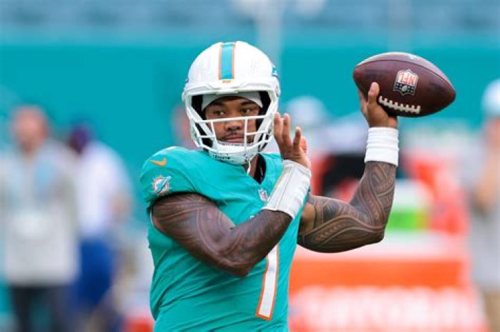 	Former Dolphins, FSU running back Travis Minor files lawsuit against BSO over 2014 arrest	