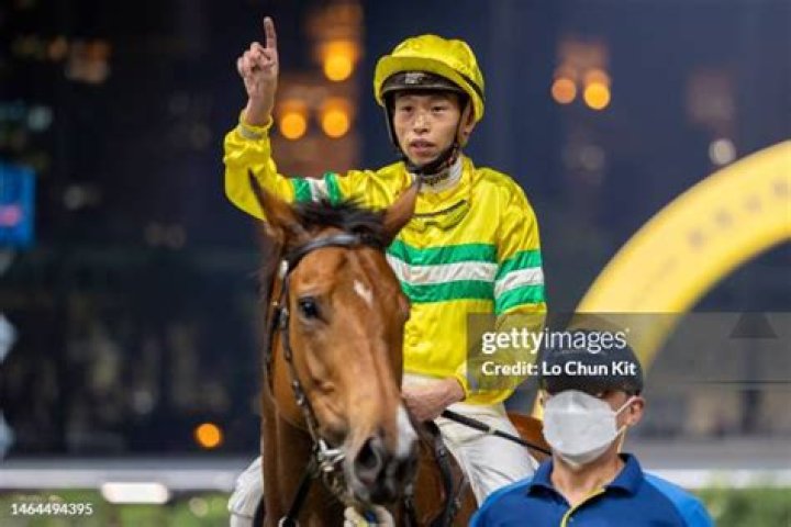 FOXHUNTER WAY (E296) 獵狐者威 | Horses | HK Racing