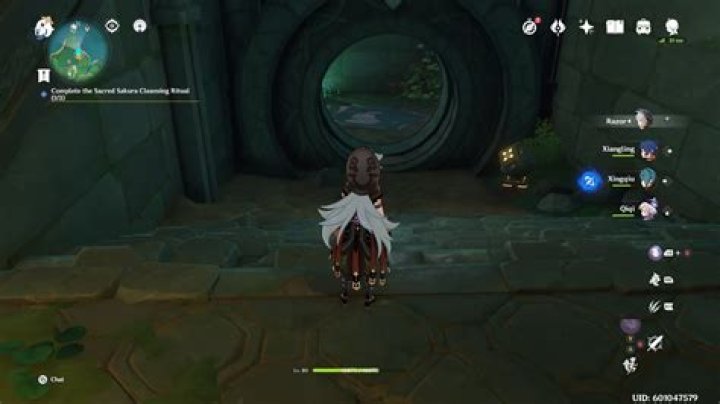 Genshin Impact: How to Unlock Araumi Underground Domain