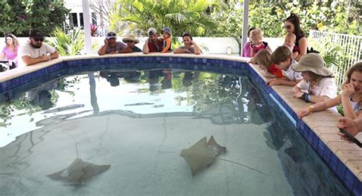 	Get up close with stingrays at new touch tank in Delray Beach	