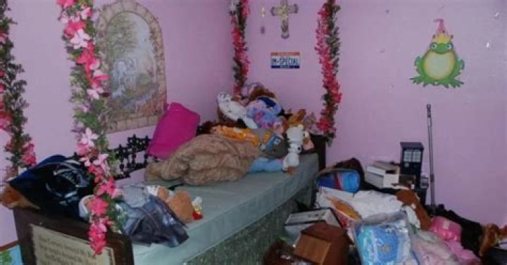 Gypsy Rose's Mom Crime Scene Photos: A Comprehensive Analysis