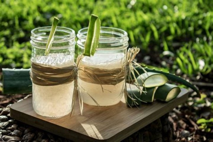 	Haley Nutrition: Producing pure Aloe vera products	