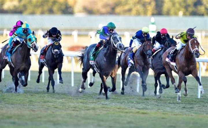 	Horses are dying at Gulfstream Park — 113 in two years	