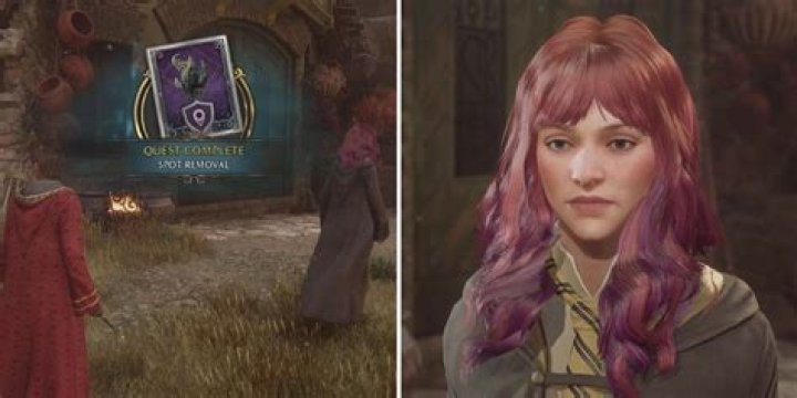 How to complete Spot Removal side quest?