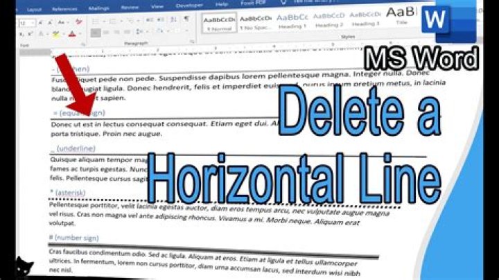 How to Delete Horizontal Lines in Microsoft Word That Won't Go Away