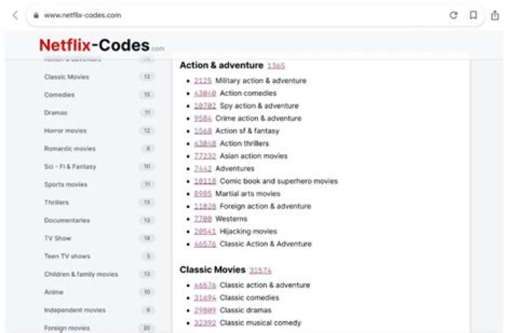 How to Enter Netflix's Secret Codes