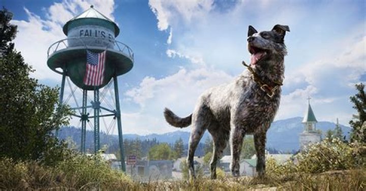 How to get all Far Cry 5 achievements and trophies