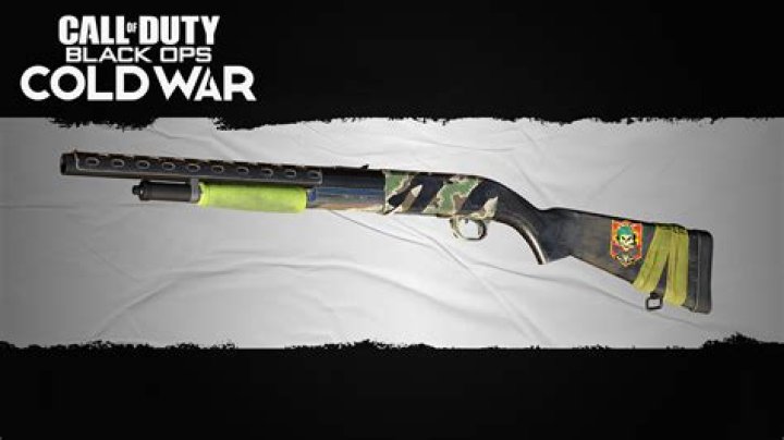 How to get Black Ops Cold War's Hauer 77 shotgun blueprint for free
