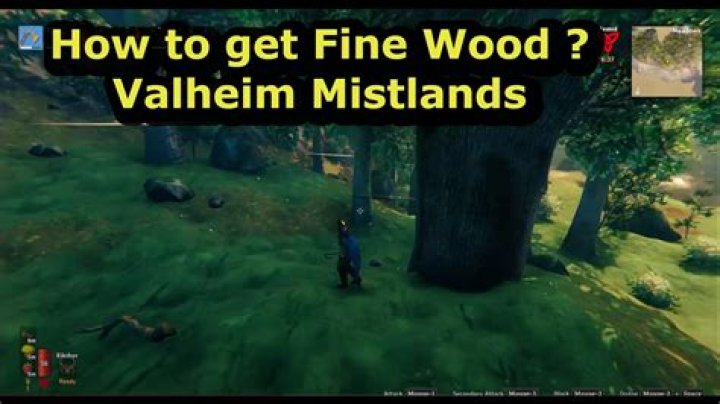 How to Get Fine Wood in Valheim