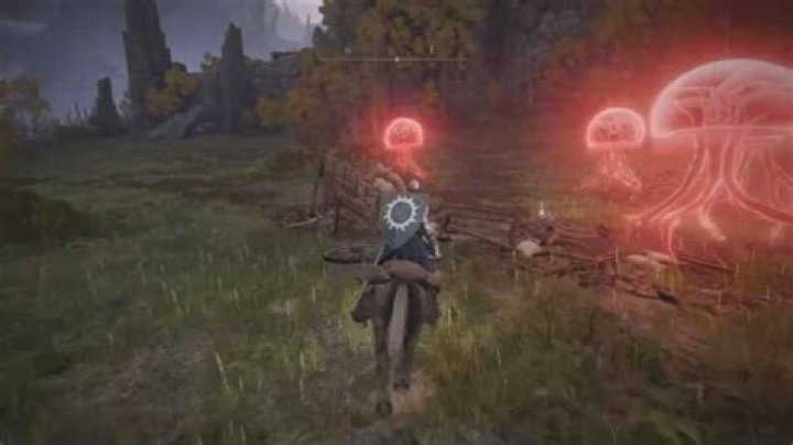 How to Get Jellyfish Shield in Elden Ring (& Stat Requirements)
