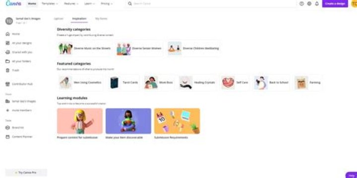 How to Get Started With the Canva Contributor Program