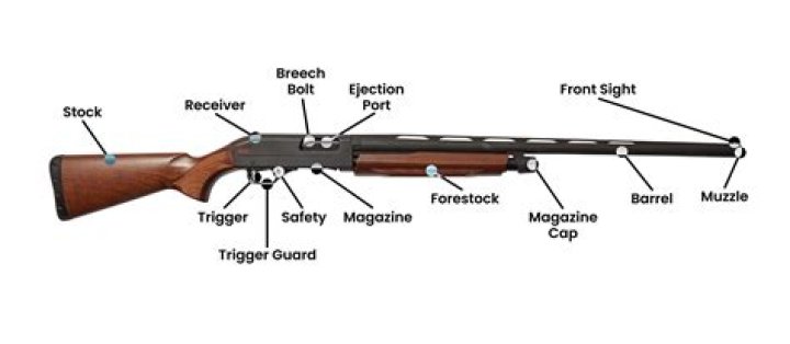 How to Master the Shotgun