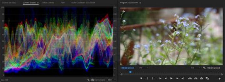 How to Read Lumetri Scopes in Adobe Premiere Pro
