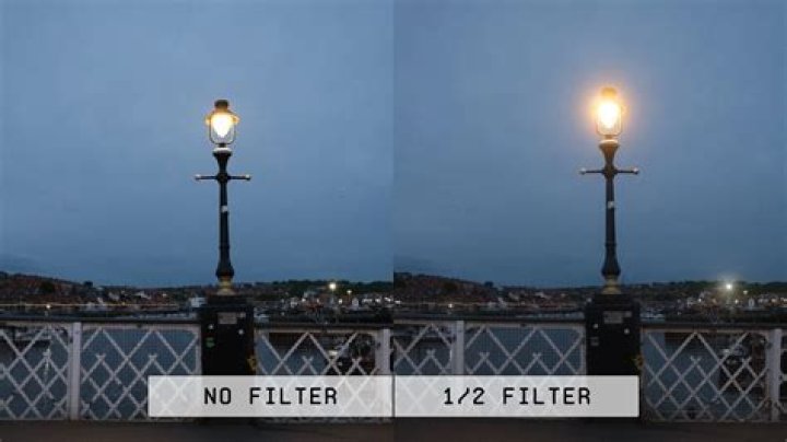 How to Take Photos in Mist and Fog: 8 Tips
