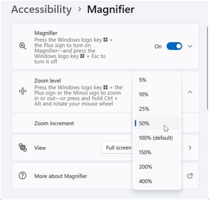 How to Use the Magnifier Tool on Windows 11