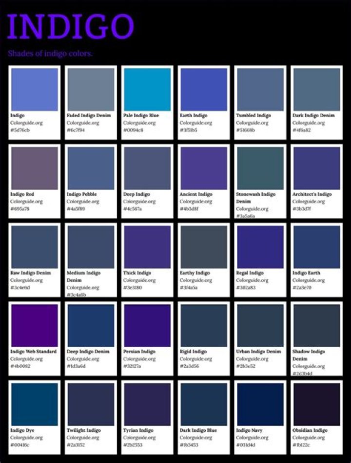 Indigo Color