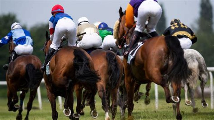 	JOCKEYS SHARE THEIR WEIGHT-LOSS SECRETS	