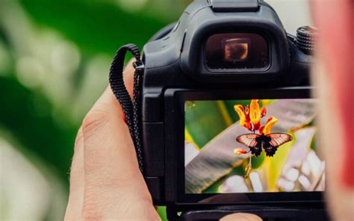 JPEG Images: The Cornerstone Of Digital Photography