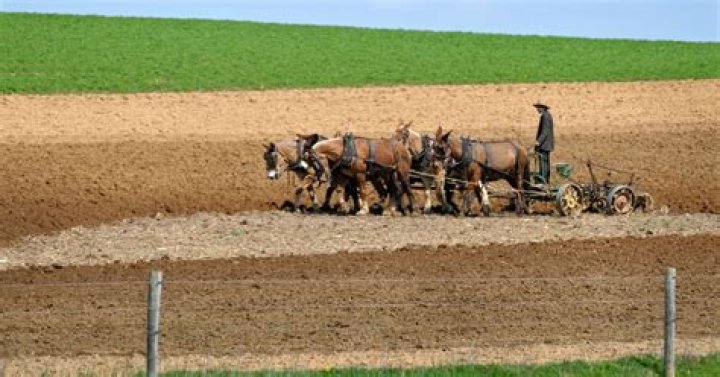 Lancaster County Amish population thrives despite sprawl