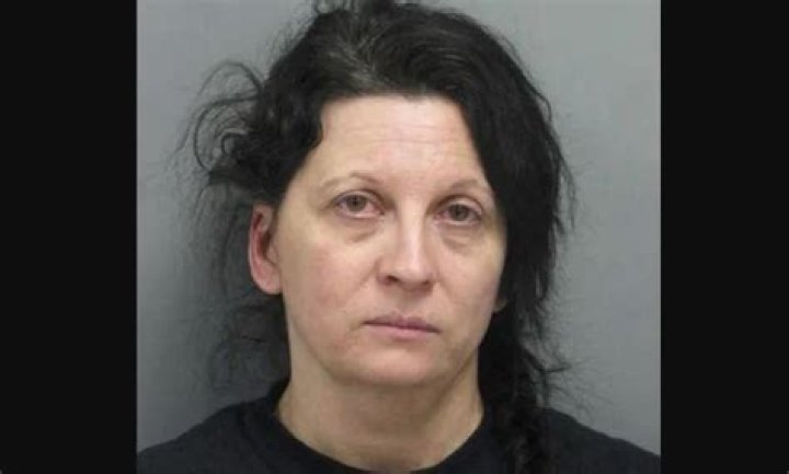 Liz Golyar Wikipedia: Where is Cari Farver killer now? 2024 Update