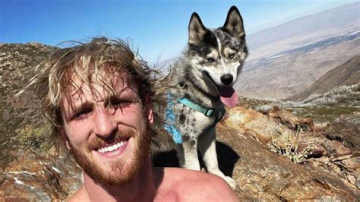 Logan Paul goes viral on TikTok for mocking his old YouTube vlogs