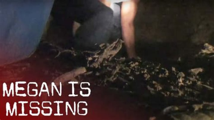 Megan Is Missing: The Real Story Behind The Controversial Film