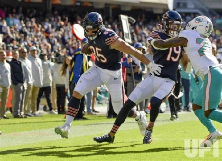	Miami Dolphins at Chicago Bears | PHOTOS	
