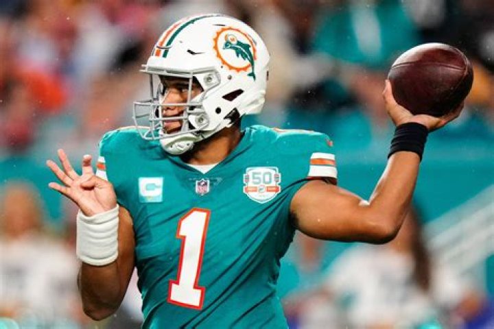 	Miami Dolphins’ biggest superfans are pumped for first playoff game in nearly a decade	
