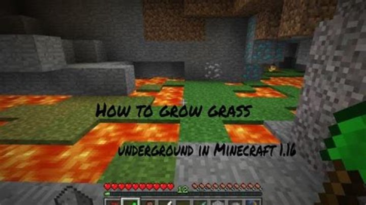 Minecraft: How to Make Grass Grow